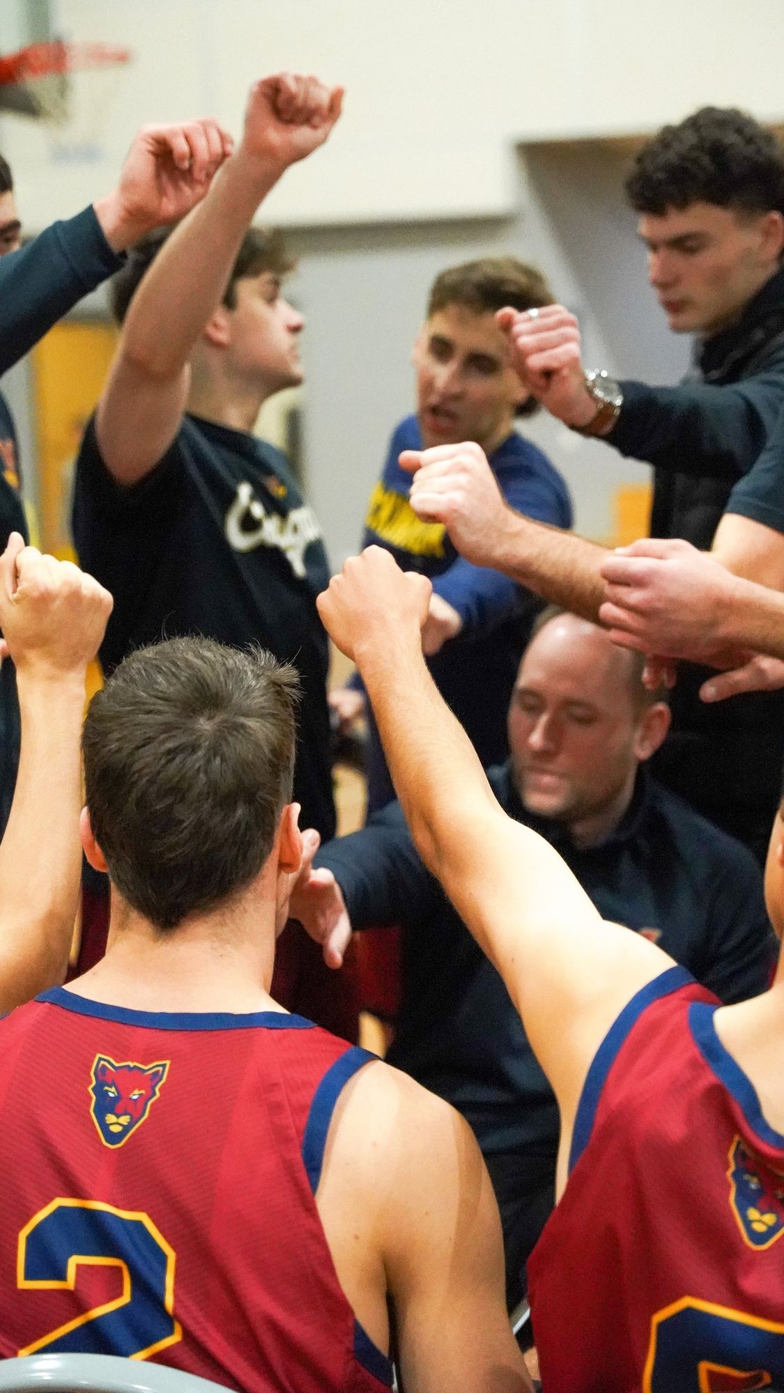 A Cougars player on court