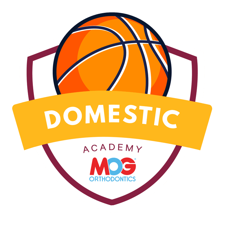 Domestic Academy logo